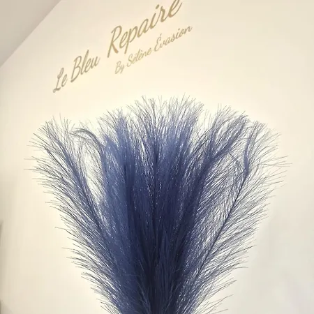 Lejlighed Le Bleu Repaire, By Selene Evasion Beaurepaire (Isere)